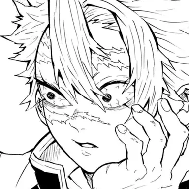 Profile image of 시나즈가와 사네미