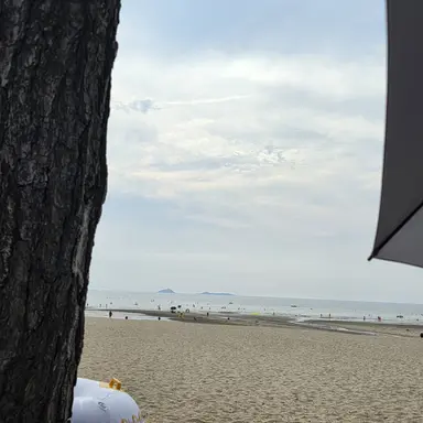 Profile image of 최지호