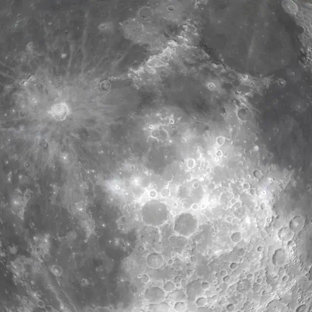 NumbShell6519의 인간