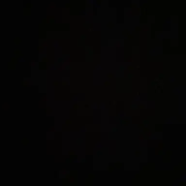 Profile image of 김동현