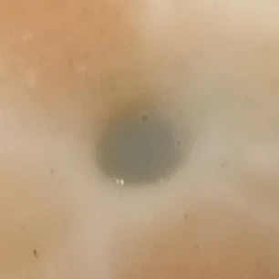 변기
