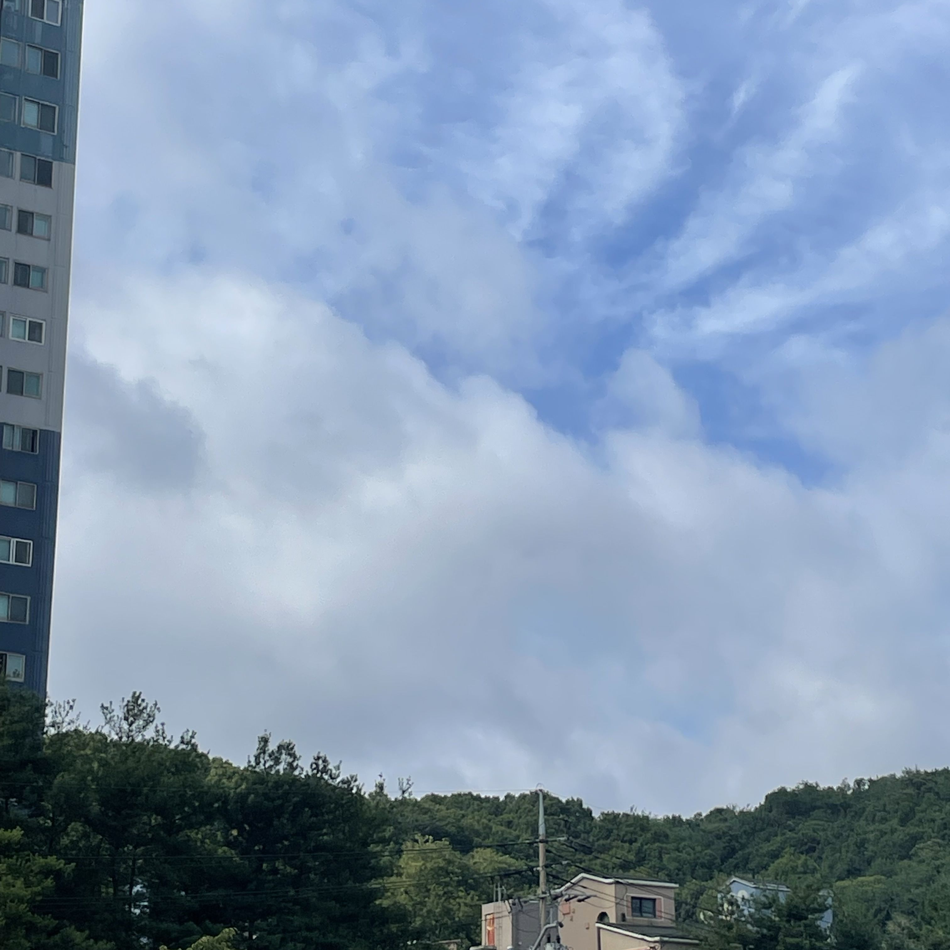 2p 이하얀 대표 이미지