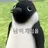 펭귄야로