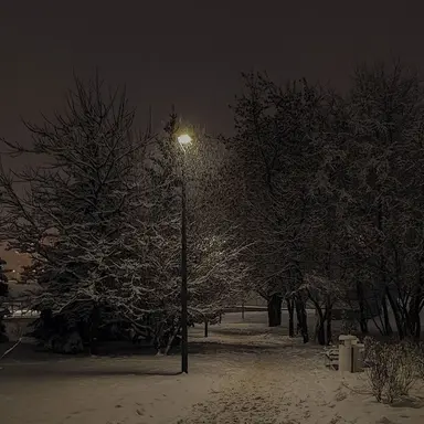 Profile image of 최지우