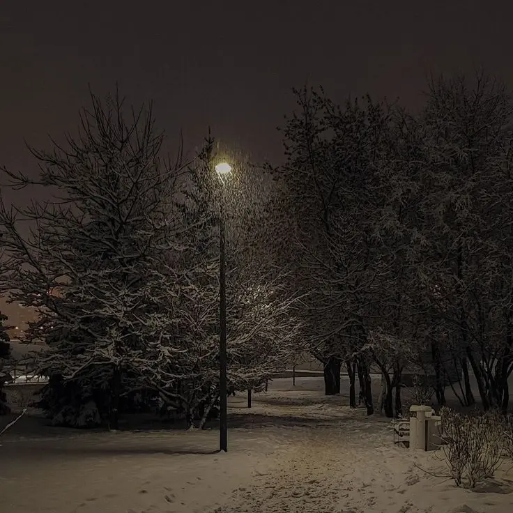 Hdlkm0110의 최지우