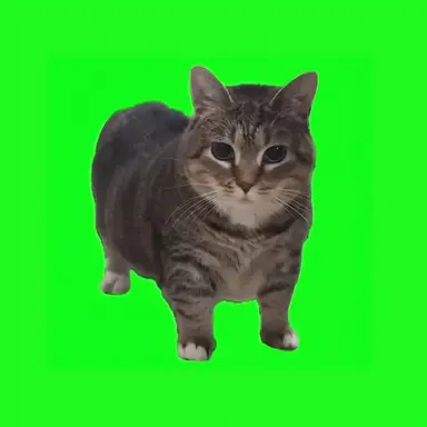 Profile image of OIA