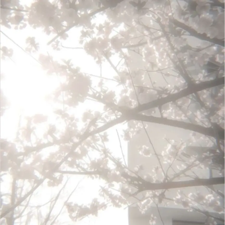 LeftNewt1209의 福山潤×ブリっ子