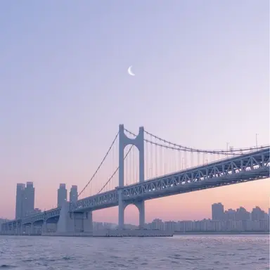 Profile image of 플래그