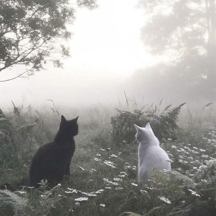 살인마 대표 이미지