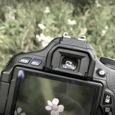Profile image of 할아버지