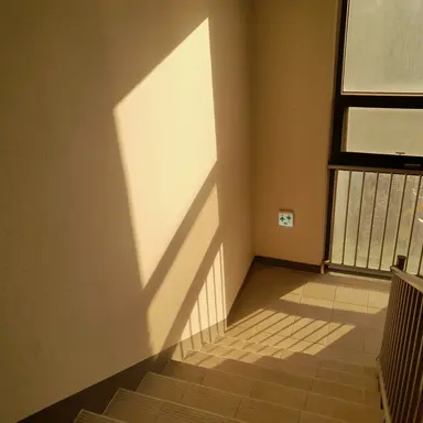 Profile image of 김일영