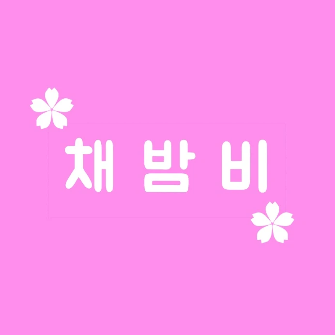 채밤비