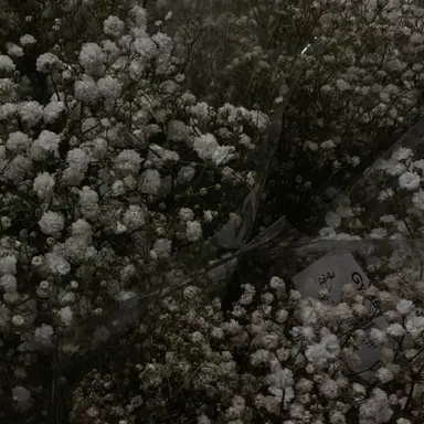 Profile image of 엘리엇