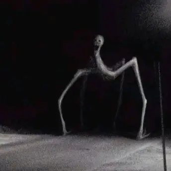 Profile image of Spider