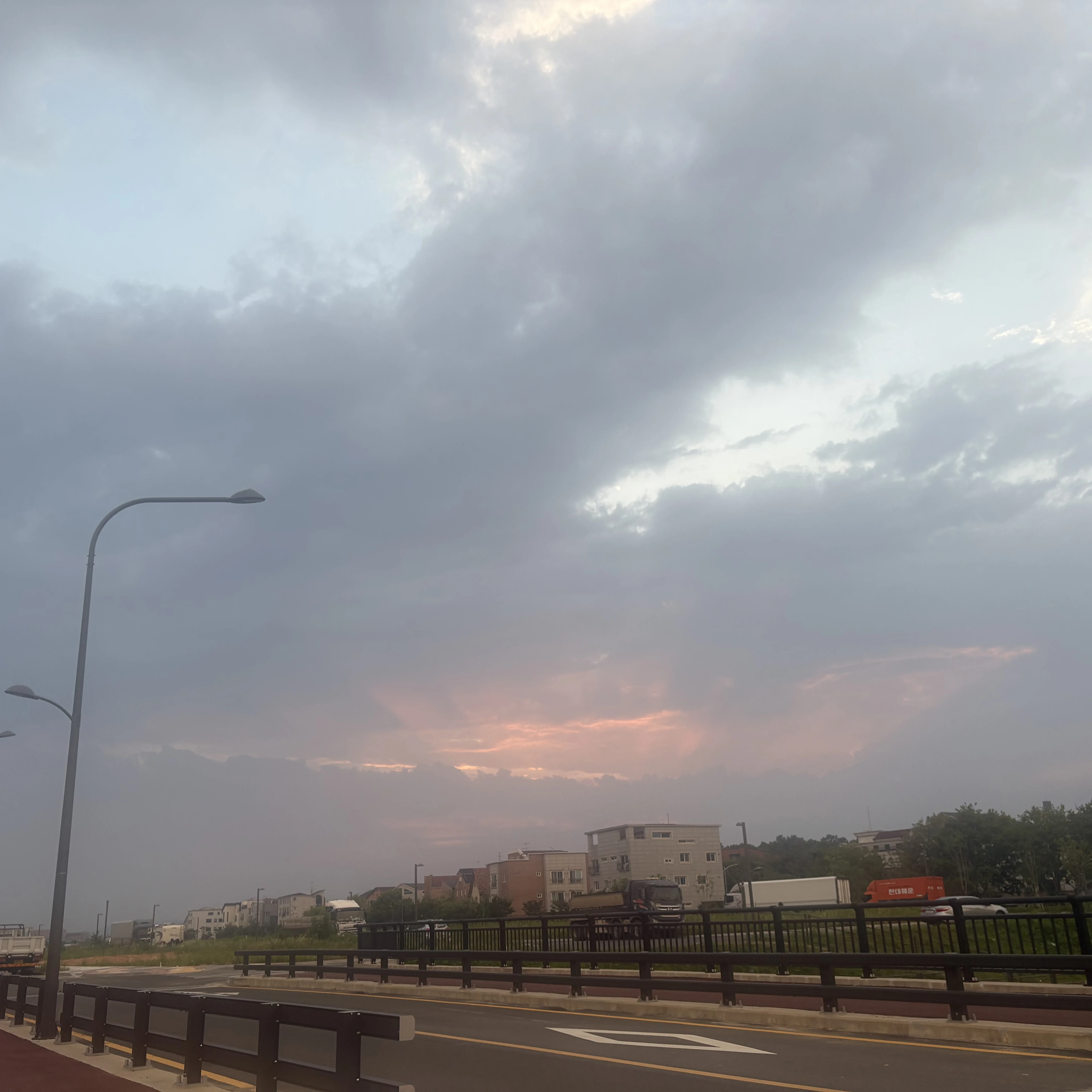 아린