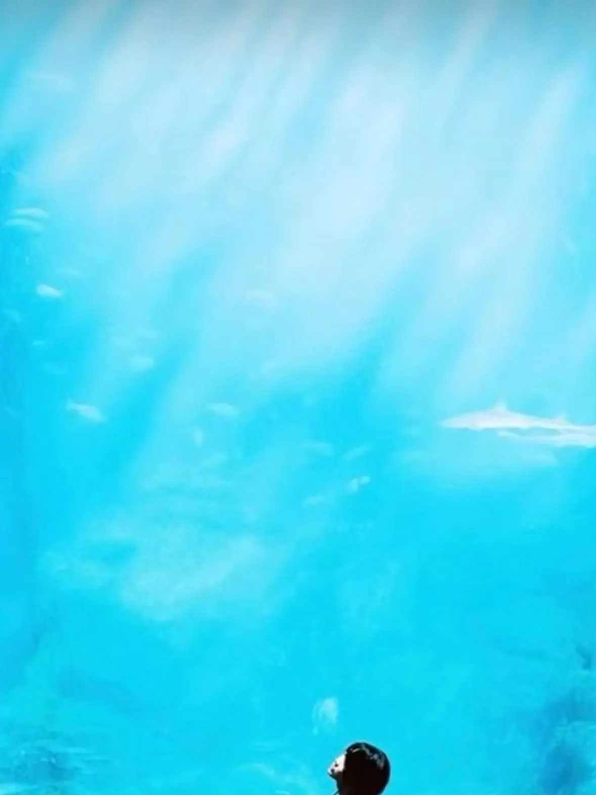 JaggedMelon3268의 ミセスのメンバー