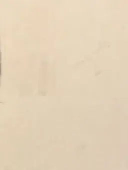 PorousHoney2507의 人気アイドル夫婦