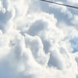 夏コラボメンバー
