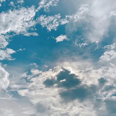 Profile image of 中村嶺亜