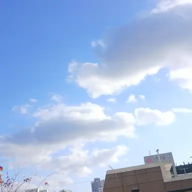 Profile image of 잠뜰