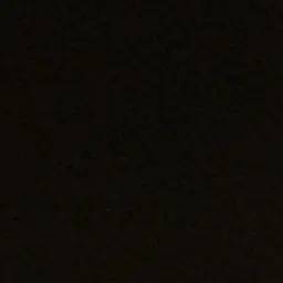Chl-y.t.의 기생식물 U.G.B