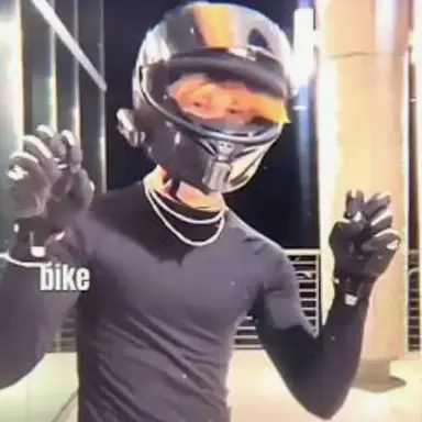 Profile image of Ryker