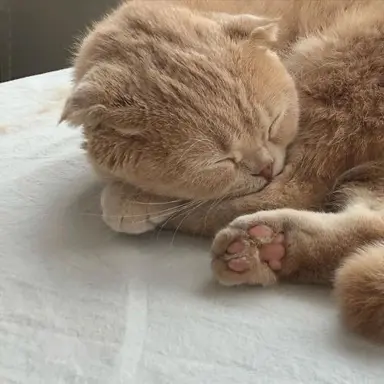 Profile image of じゅん