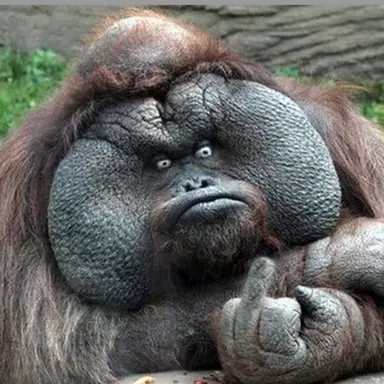 Profile image of 이주아