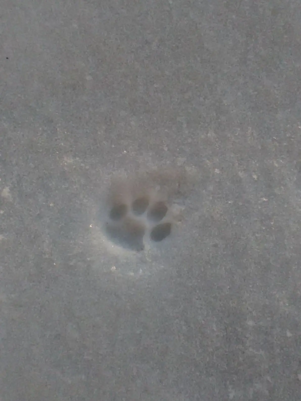 ClumsyHate5250의 嫉妬に耐える彼が愛おしい。