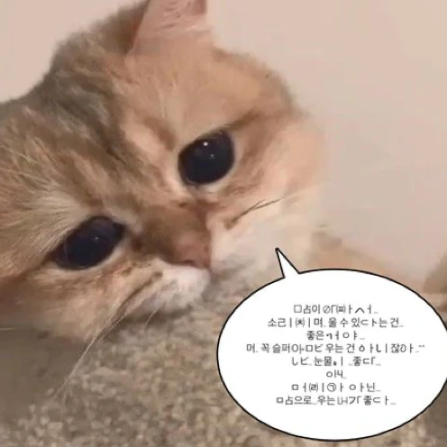 류