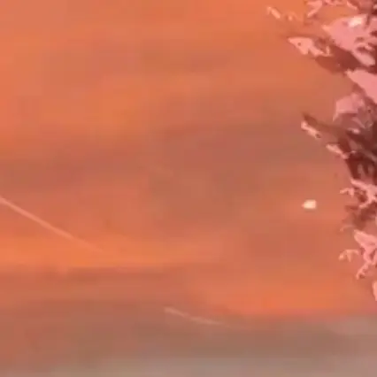 1111030의 김민정