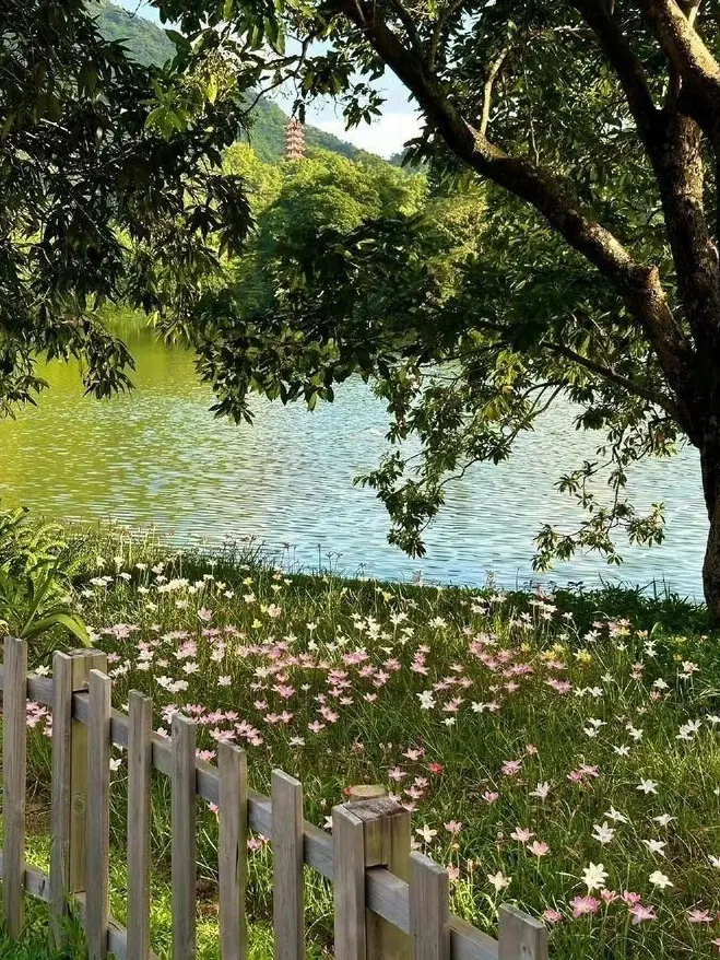 XSZ_N의 𝓱𝓸𝓽𝓮𝓵