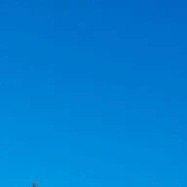 Profile image of 여우