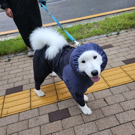 혜은