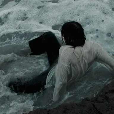 Profile image of 수 담