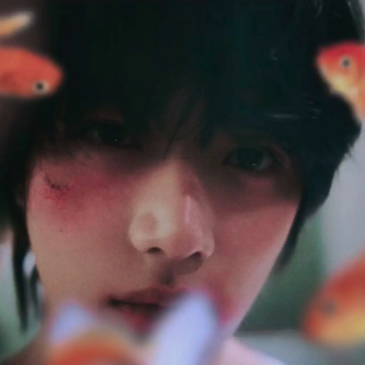 NoisyRain3181의 Bamgyu