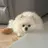 별이