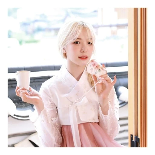 백지헌
