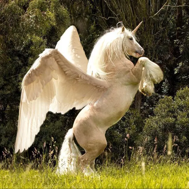 MusclyFlood0351의 We must come back together... [BL/MLM]