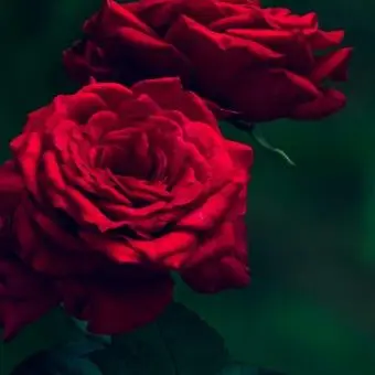 Profile image of 윤태준