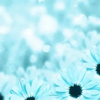 Profile image of 권리찬