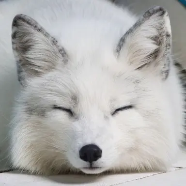 Profile image of うぉぬ