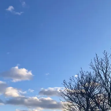 Profile image of 斎藤　奏