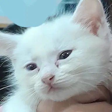 Profile image of 우리반 친구들