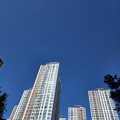 Profile image of 선생님