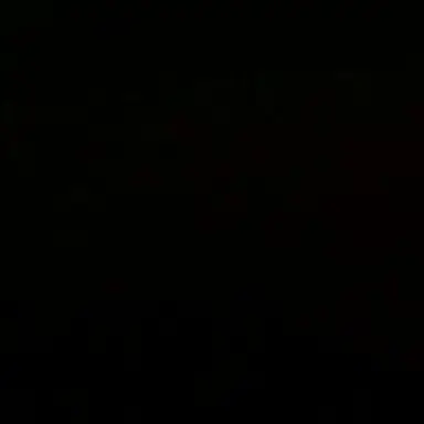 Profile image of 스타