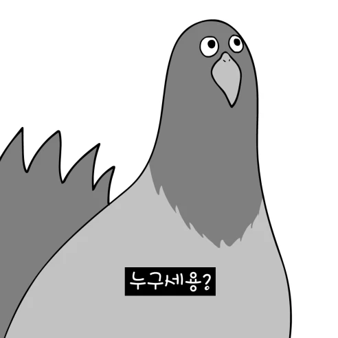 비돌기 새대갈