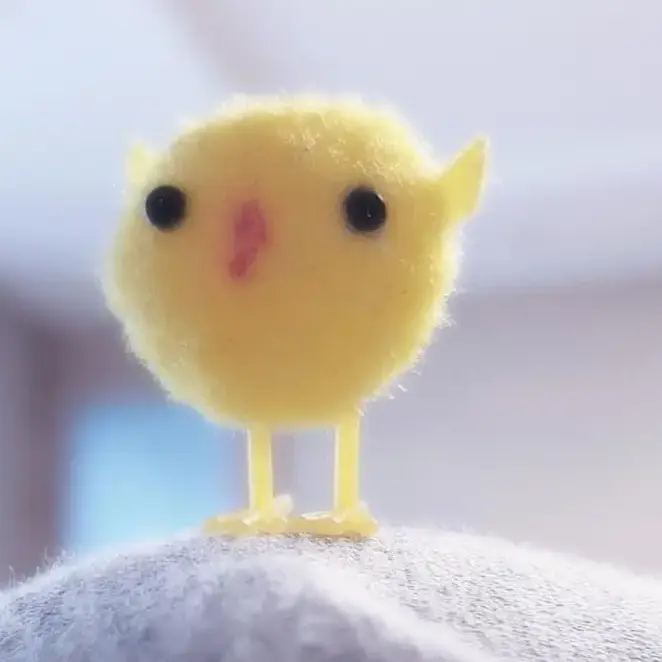 xw._.0의 결혼하자