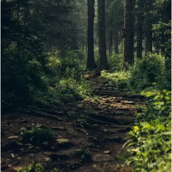 HotStock5319의 토키토 무이치로