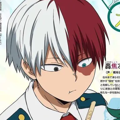 Profile image of 轟　焦凍